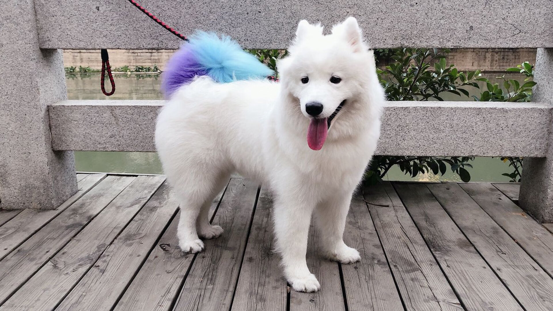 爱游戏入口-绿茵烽火,土耳其的帝国炮台与萨卡的关键密码