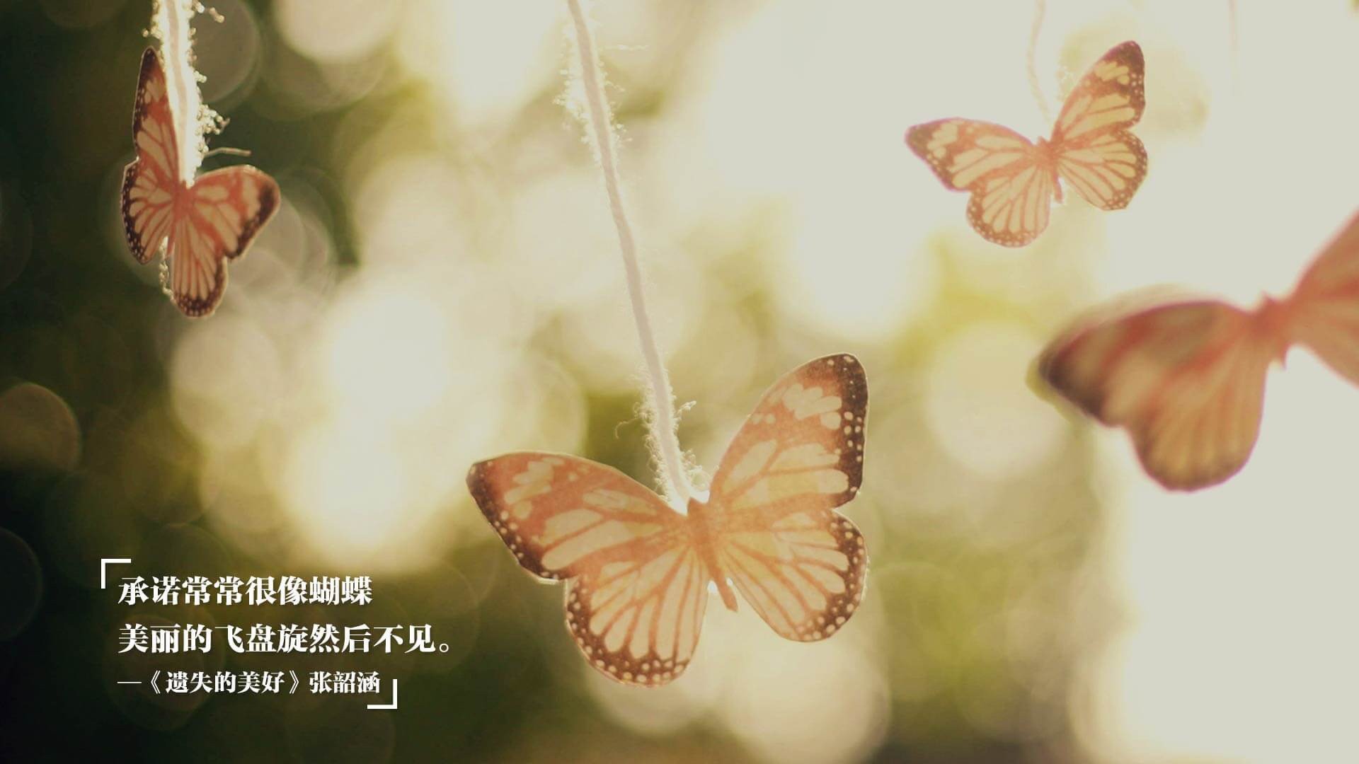 比绍之月照亮华沙，几内亚魔幻现实主义足球与若日尼奥的终极救赎