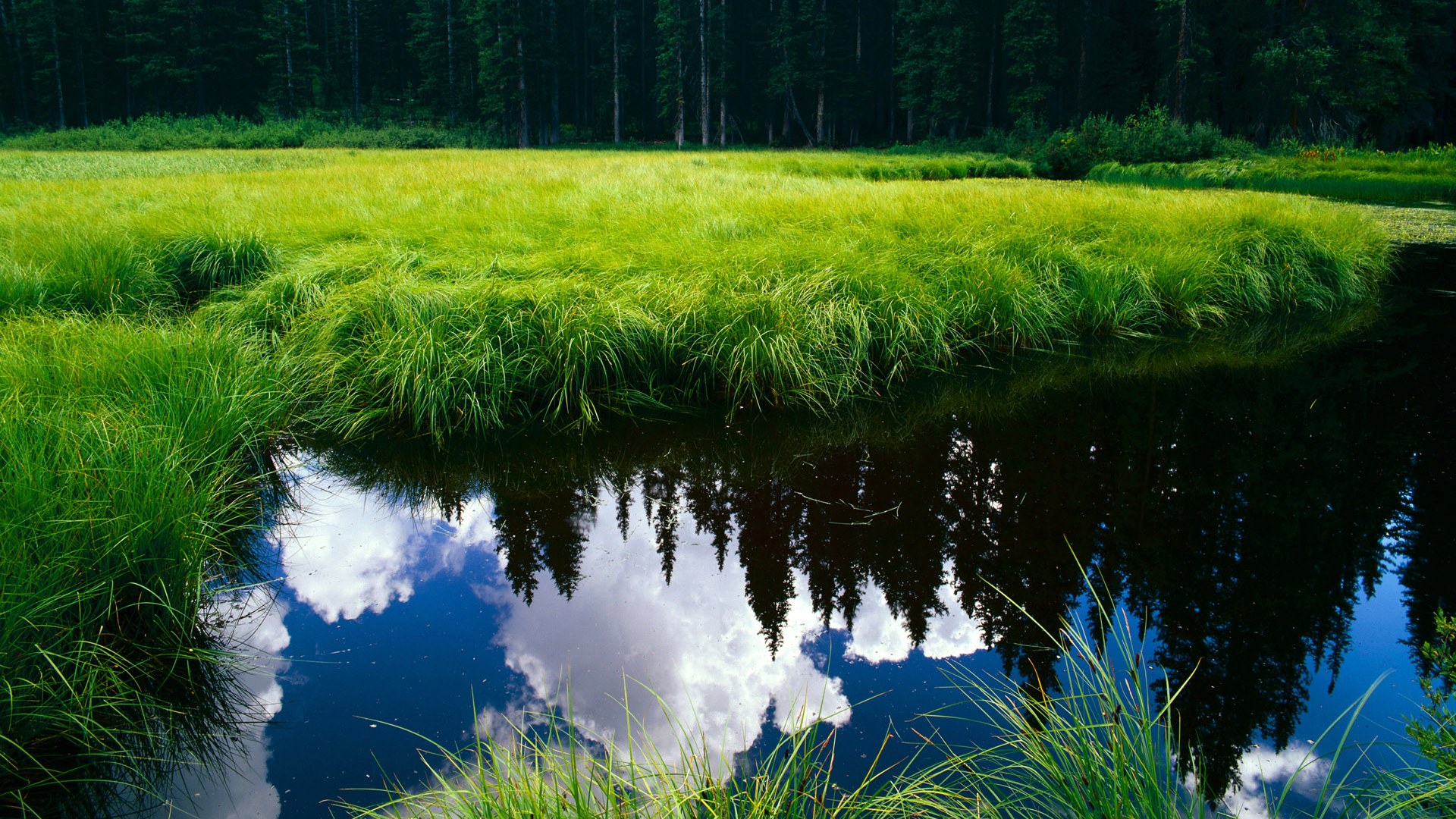 亚特兰大战胜摩洛哥，托尼完美演出定义世纪对决