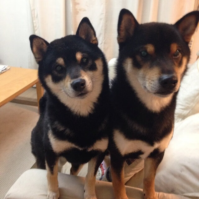 独臂擎天，桑巴惊雷炸响巴黎之夜 奥利维耶爆发引领巴西生死战逆袭