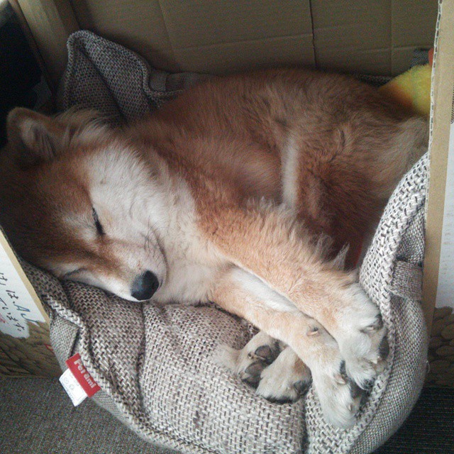 爱游戏官网-沉默的罗盘，班凯罗，那不勒斯的攻防转换核心