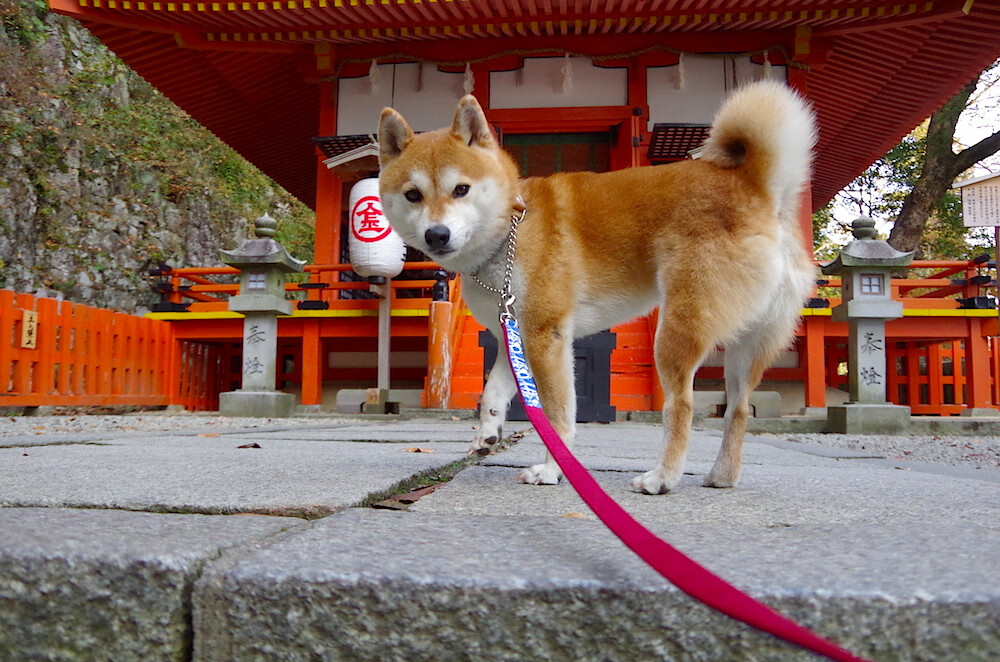 被切割的荣耀，15分钟与700分钟间的永恒