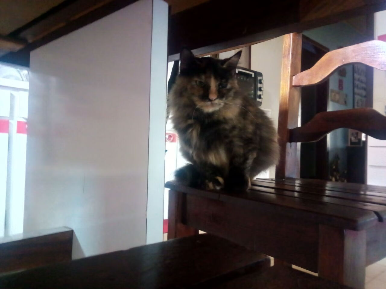 爱游戏在线-小城惊雷与大场面先生，当灰熊撕裂魔术，塔图姆在舞台中央迎风生长