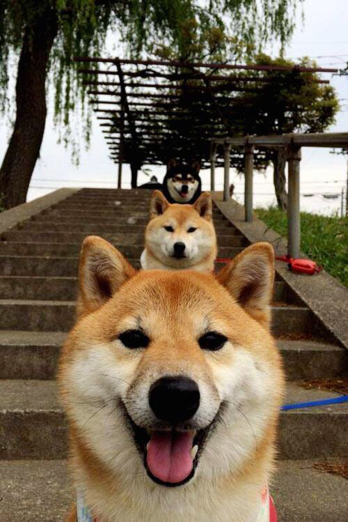 死神之吻，霍勒迪终场一击，辽宁绝境焚鹰