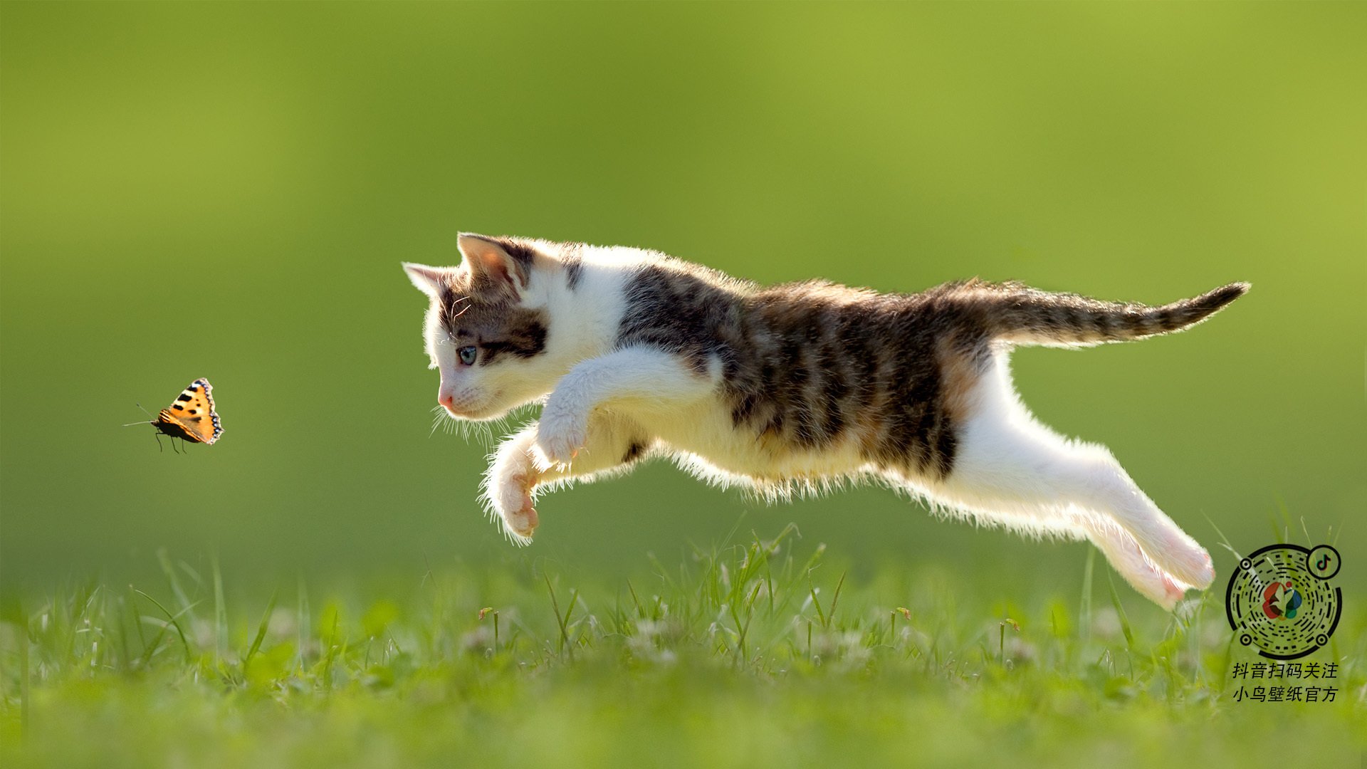 比利时完胜威尔士，阿什拉夫关键一剑封喉