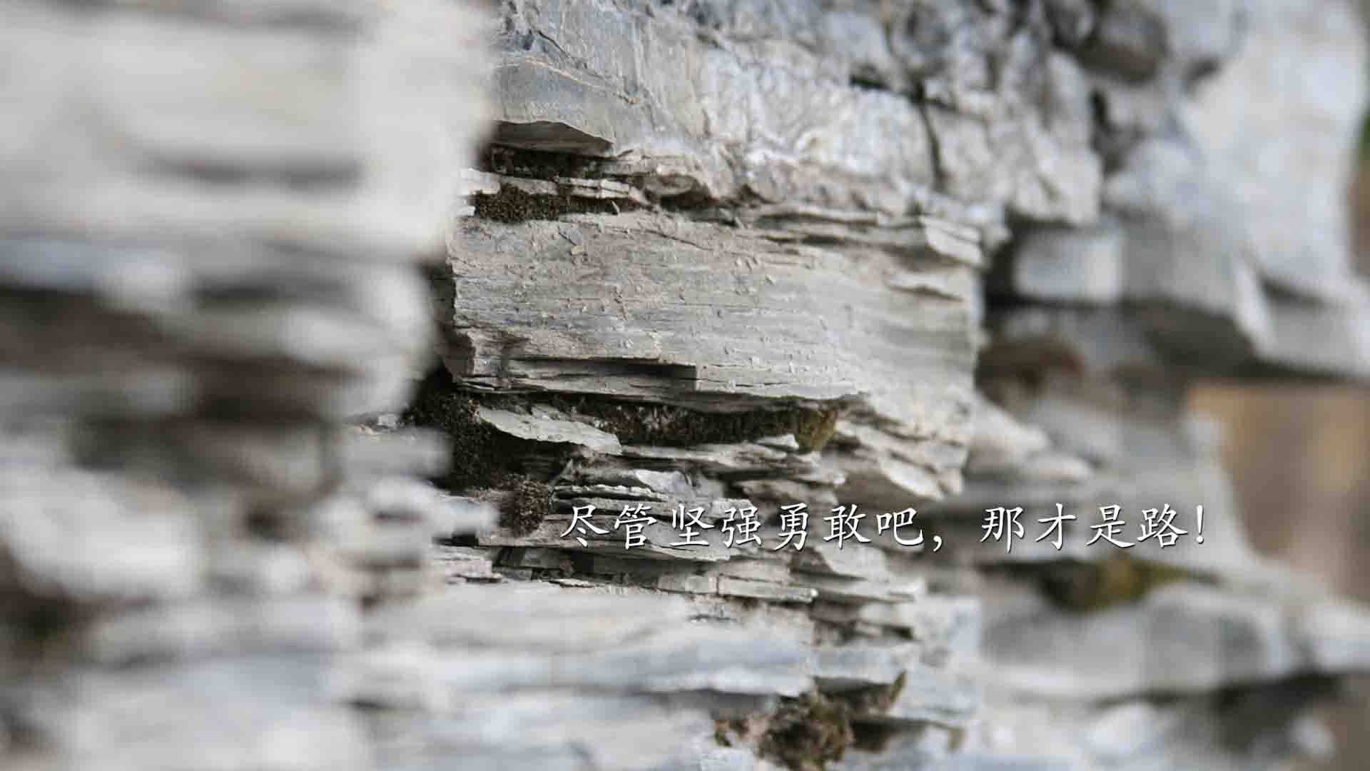 平行时空的竞技场，辽宁队与开拓者生死对决，如何成为2026世界杯的焦点战？