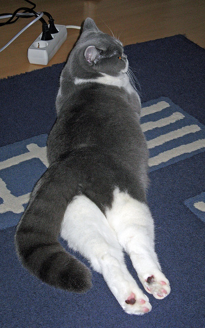 蝴蝶扇动翅膀时，皇家社会压哨绝杀如何悄然改写了英超争冠格局