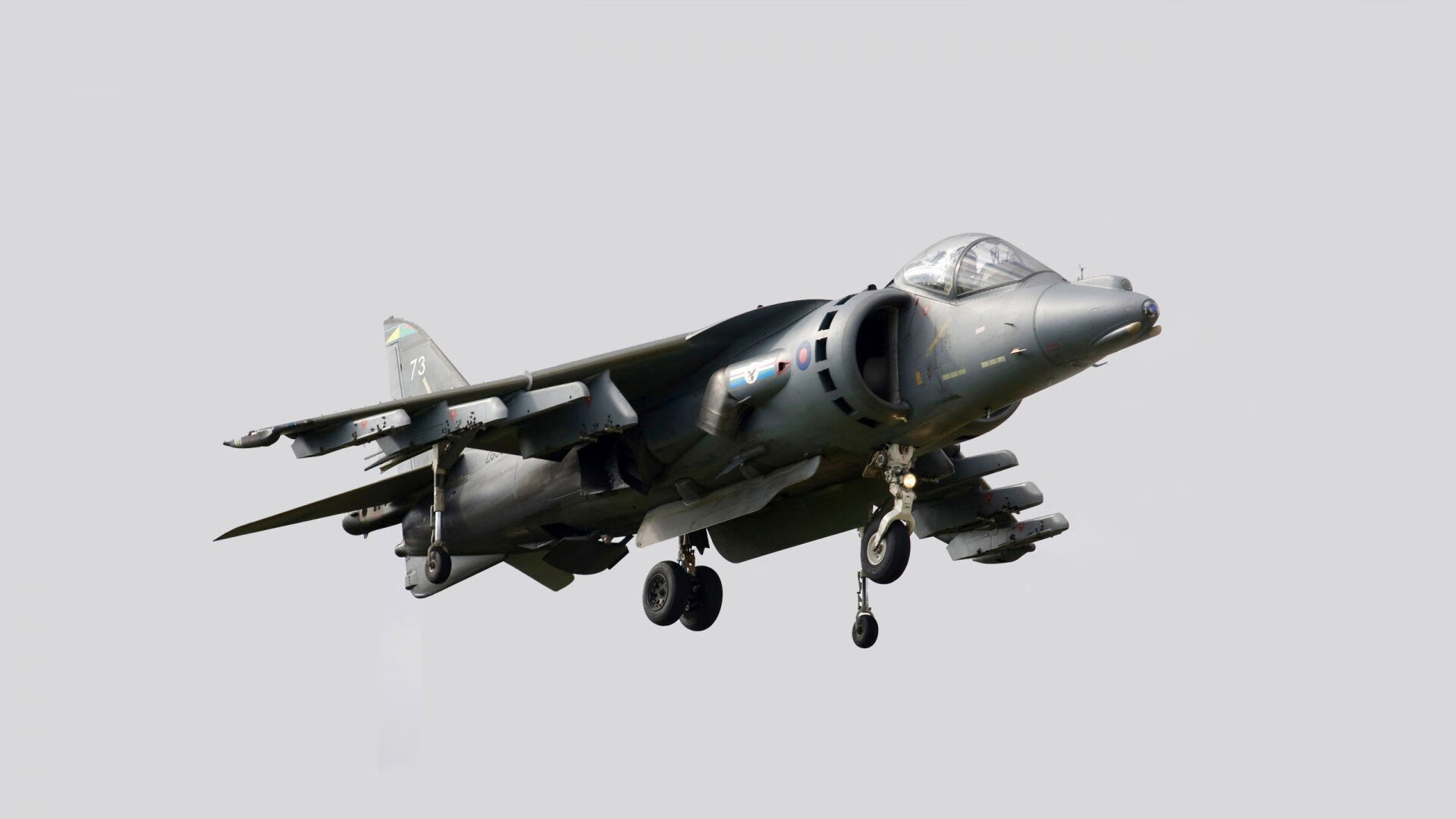 从杭州到波士顿，霍勒迪与琼斯的双重奏