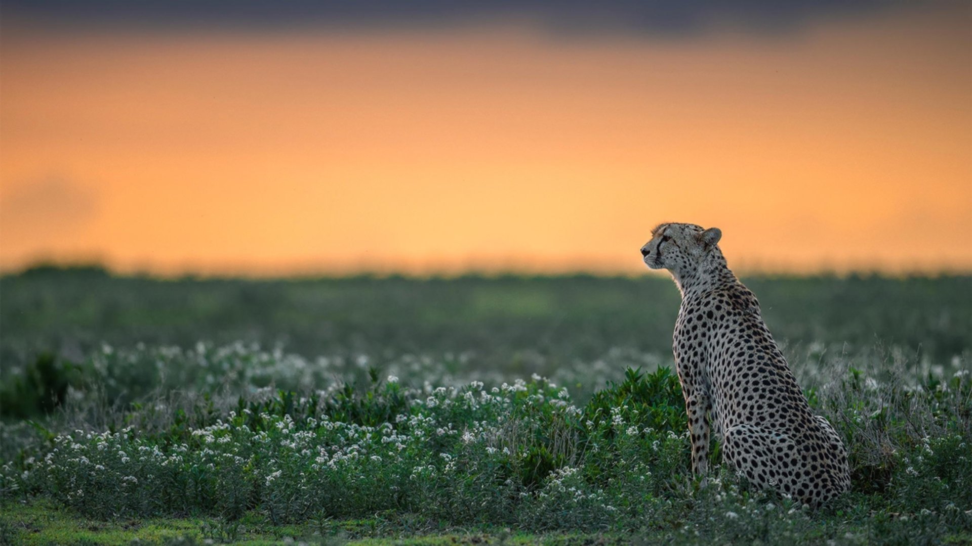当诺坎普遇见甲骨文,杜兰特演绎篮球场上的国家德比