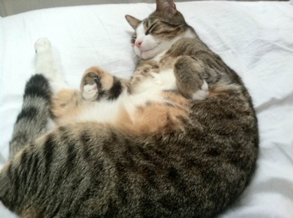 爱游戏官方入口-终场前2秒，布克手中的篮球让北京沸腾了