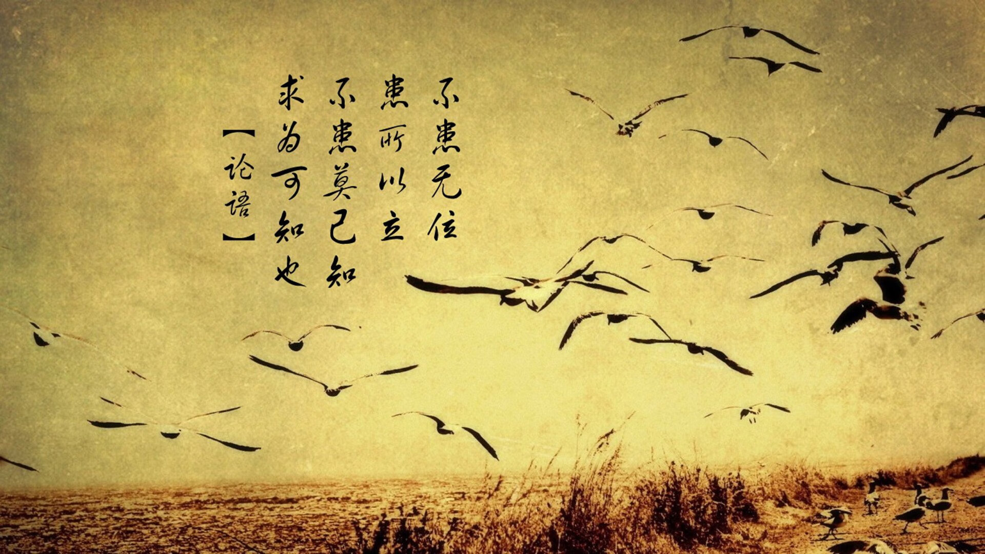 逆转的方程式,当墨西哥意志击穿克罗地亚铁幕,三笘薰用魔术师笔触重写世界杯剧本