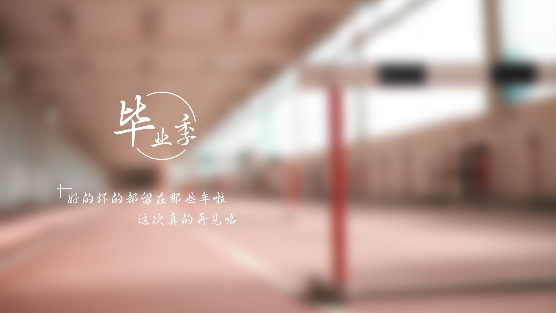 王者之刃与铁血之盾，2026世界杯F组，比利时如何用控球碾压德国，塔雷米点亮逆转之夜